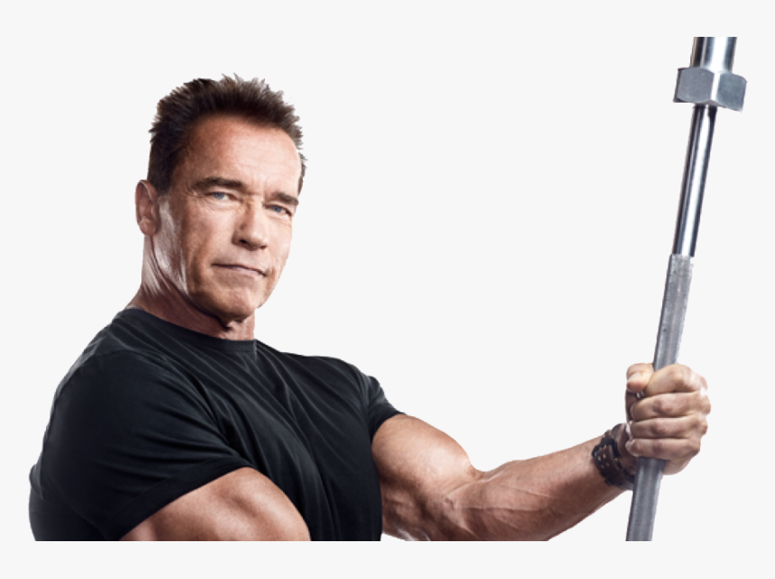 Download Arnold Schwarzenegger P