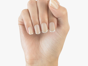 Nails Png Image - Elegant Touch Bare Nails