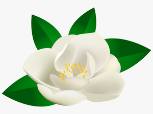 Transparent Lotus Flower Green