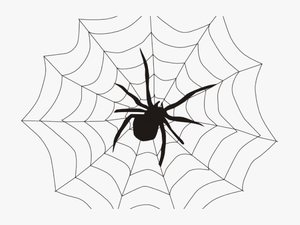 Web Clipart Spinder - Web Spider