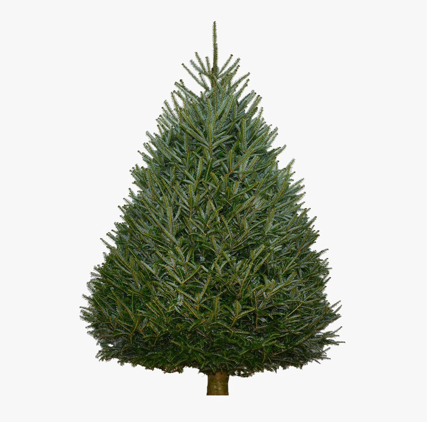 Fir Tree Png Background - Artificial Unlit Christmas Tree Sale
