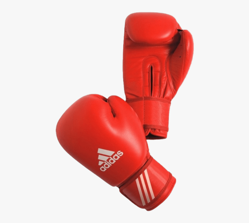 Transparent Boxing Gloves Hangin