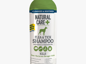 Natural Care Flea And Tick Shampoo For Dogs