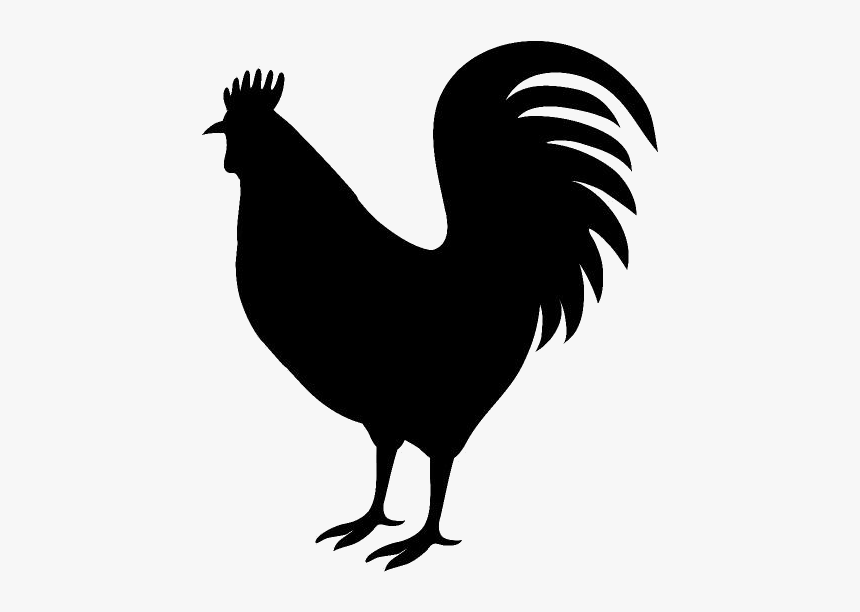 Rooster Drawing Png Transparent 