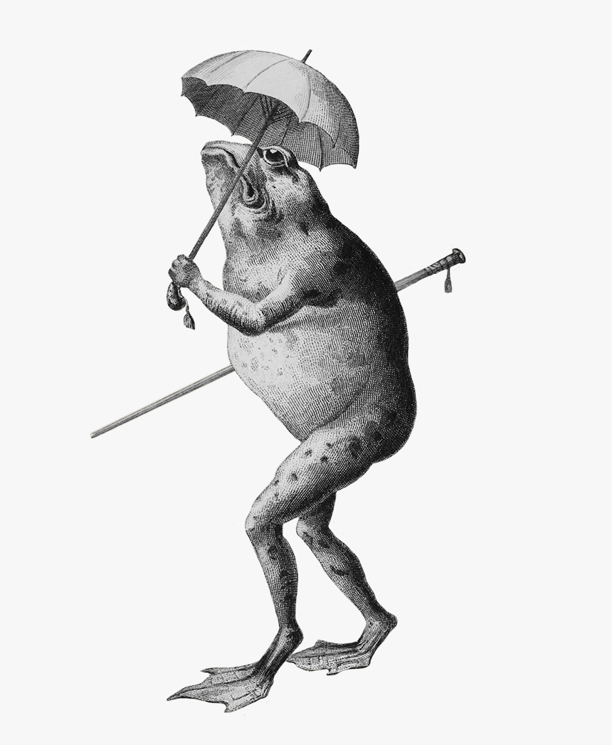 Frog Clip Art Cartoon - Cartoon Frog With Umbrella