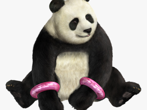 Panda Png Free Image Download - Tekken Girl With Panda