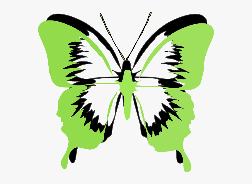 Green Black Butterfly Svg Clip A