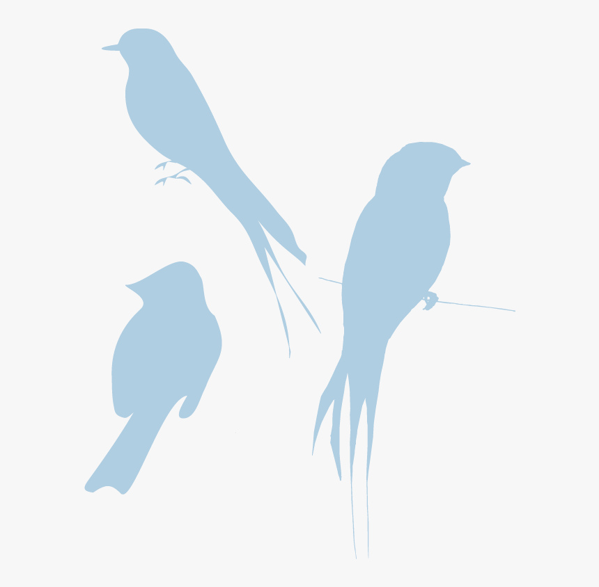 Blue Silhouette Birds Look So Bird Clipart Transparent - Transparent Clipart Bird Silhouette