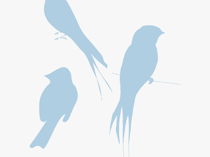 Blue Silhouette Birds Look So Bird Clipart Transparent - Transparent Clipart Bird Silhouette