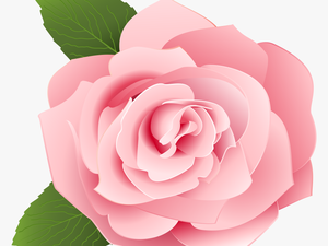 Red Roses Border Png