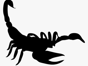 Scorpion Shape - Scorpion Icon