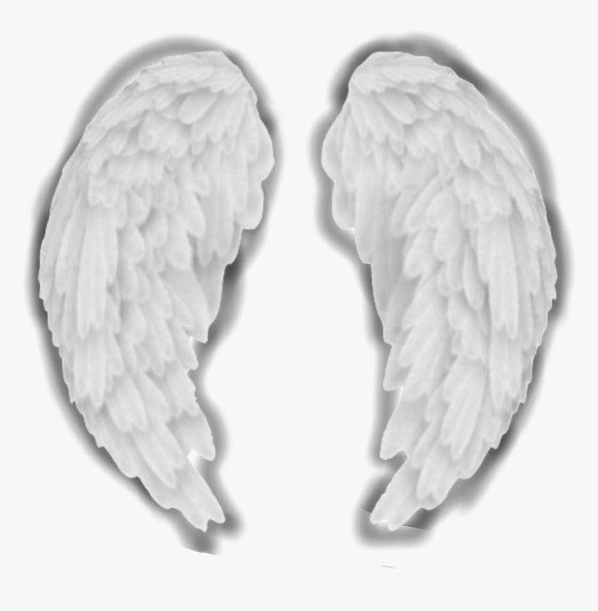 #angel #wings #aesthetic #white #complex #edit #complexedit - Pigeons And Doves