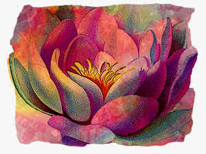 Water Lily Tattoo Designs