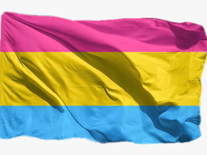 #flag #trans #transgender #transgenderpride #transpride - French Flag 1814 1830