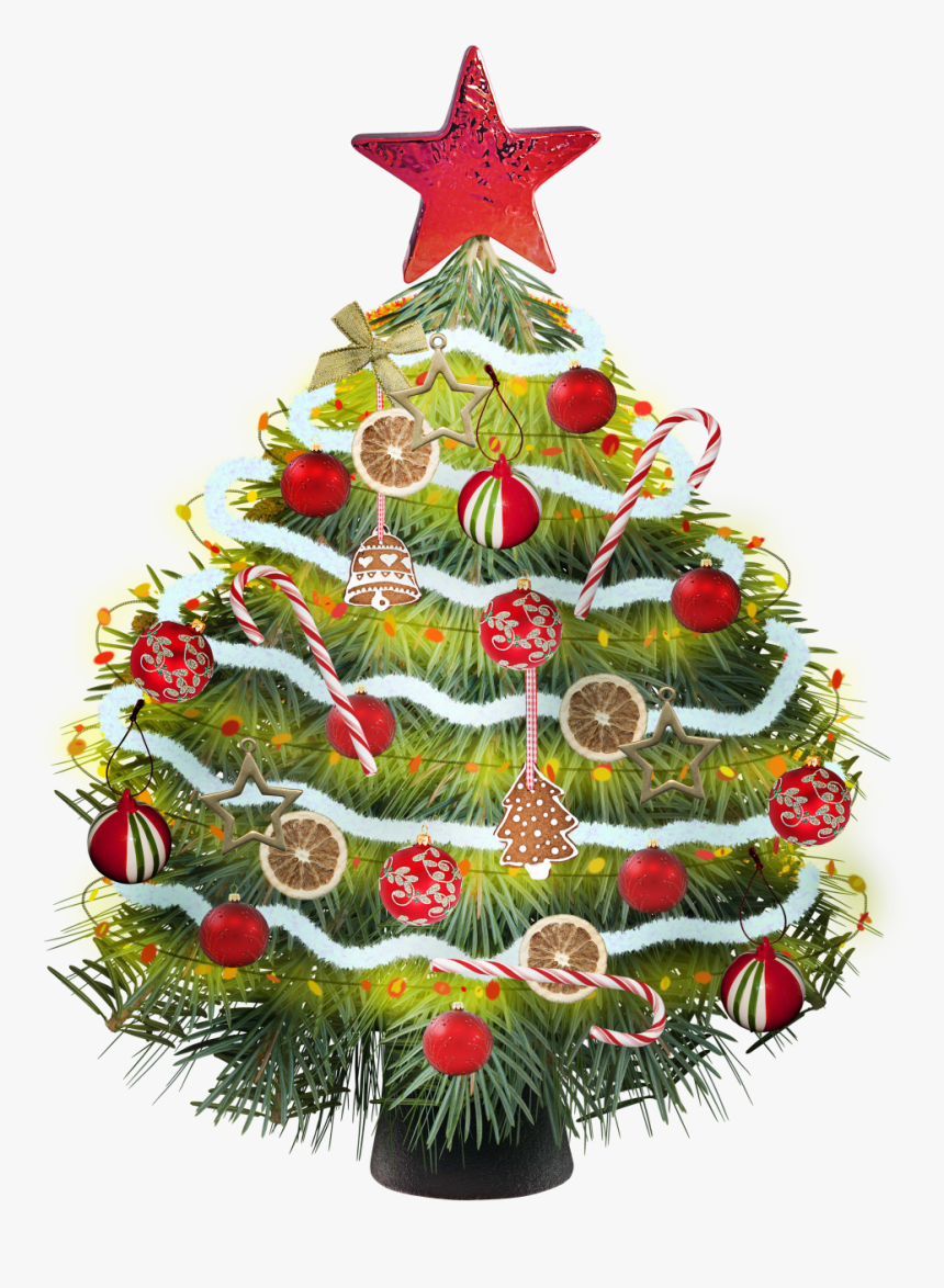 Christmas Tree Clipart With Colo