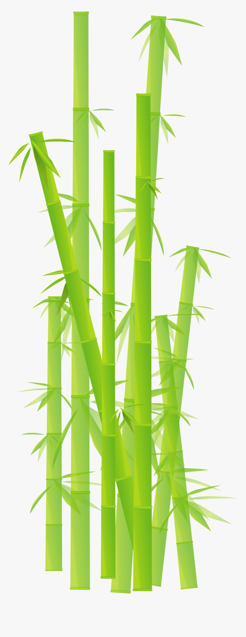 Japan Clipart Bamboo - Transparent Bamboo Cartoon
