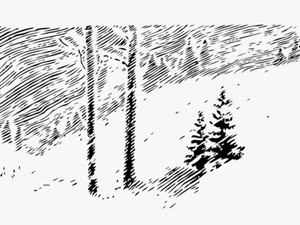 Winter Trees Clip Art