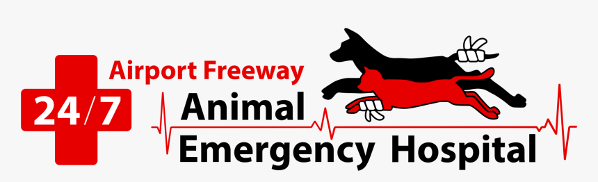 Airport Freeway Animal Emergency