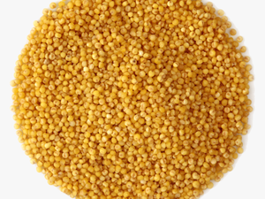Small Pile Of Grain - Rapeseed