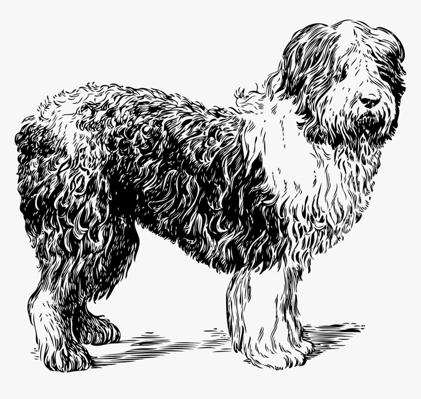 Shaggy Dog Clip Art Black And Wh