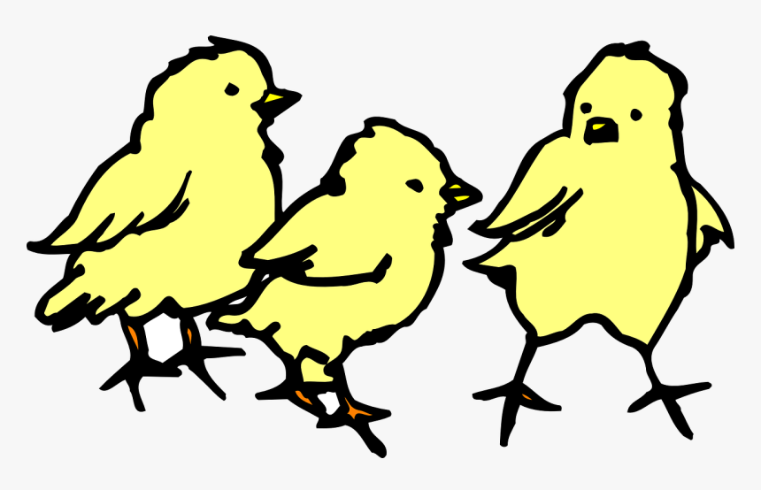 3 Chicks Clipart Black And White