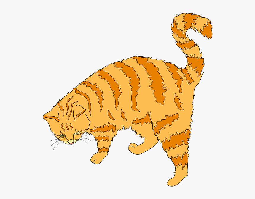 Ginger Cat Clipart