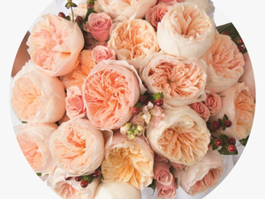 Juliet Bride Bouquet Preview - Types Of Peach Color Flowers