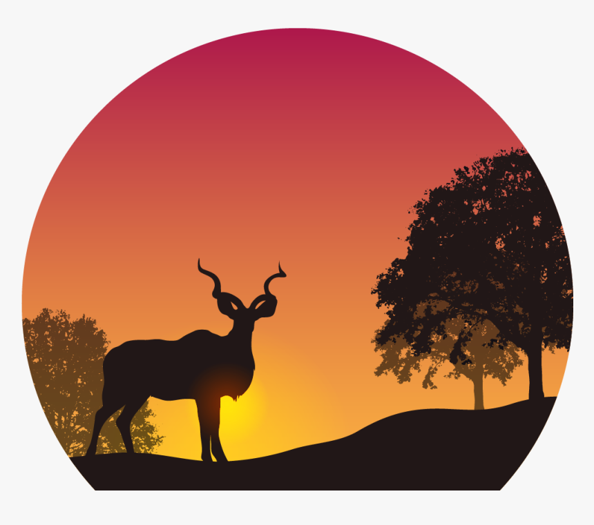 Sunset In The Wild Png Image - Kudu Silhouette Sunset
