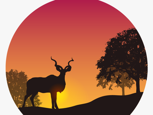 Sunset In The Wild Png Image - Kudu Silhouette Sunset