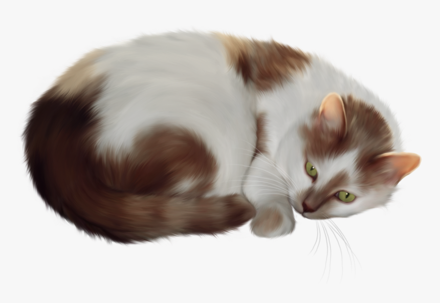 Cat Clipart Transparent - Cat Tr