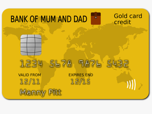 A Common Credit Card Among Teens - Credit Card Sticker