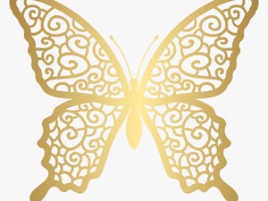 Gold Clipart Butterfly Photo
