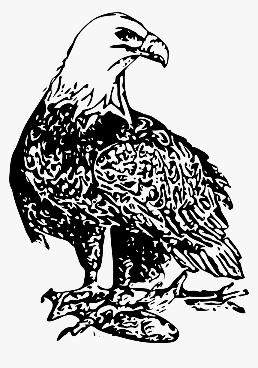 Bald Eagle 2 Clip Arts - Bald Eagle Black And White Free