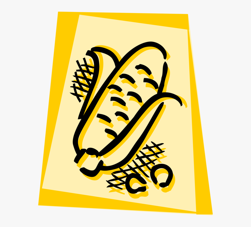 Vector Illustration Of Corn Maize Grain Plant Cob Husk - Illustration