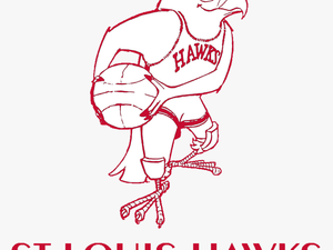 1955 St Louis Hawks Logo