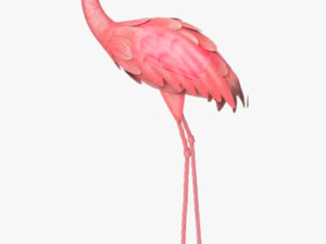 #ftestickers #watercolor #illustration #flamingo #pinkflamingo - Flamingo Transparent Background