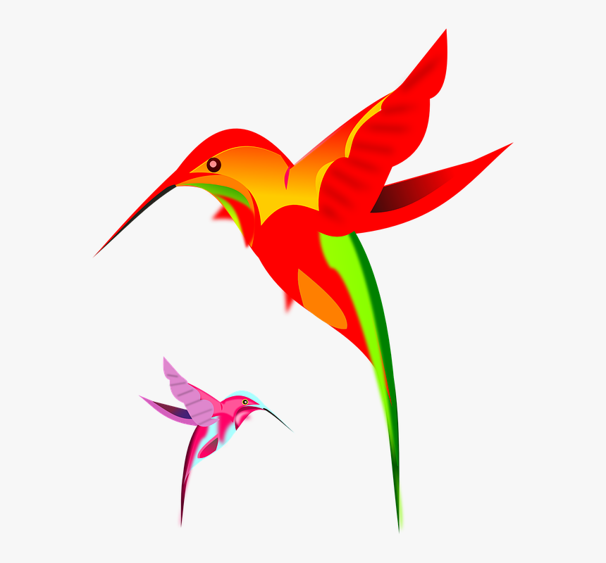 Hummingbird Art Png Clipart - Rufous Hummingbird