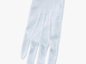 Director S Showcase White Cotton Gloves - Hand