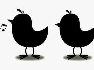 Baby Chick Png Transparent Images - Bird Tweet Tweet Clipart