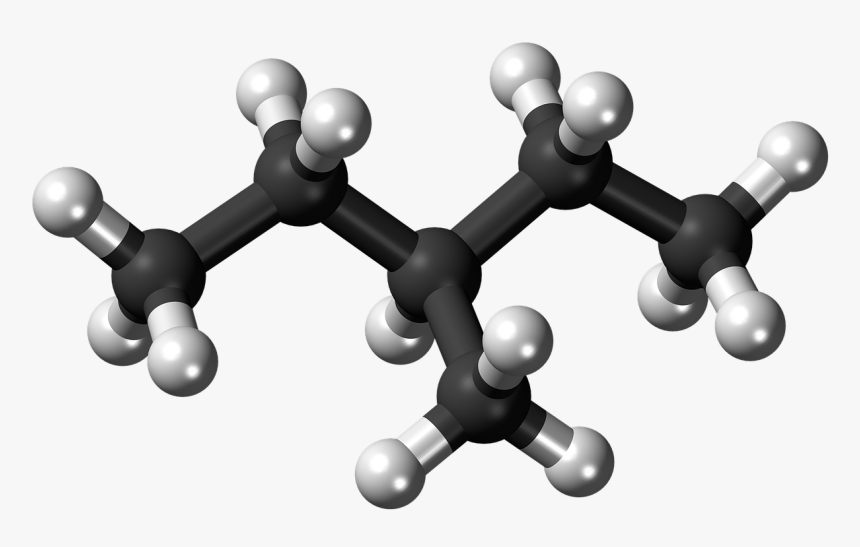 Succinic Acid 3d Structure
