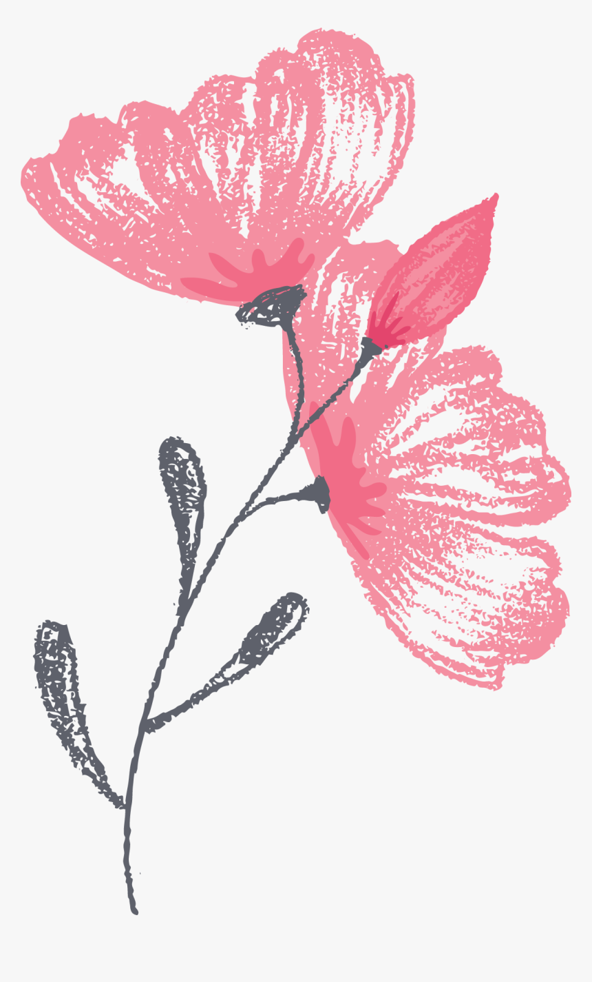 Greenwich Photographer Flower Graphic - Illustration