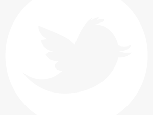 Thumb Image - Twitter Logo