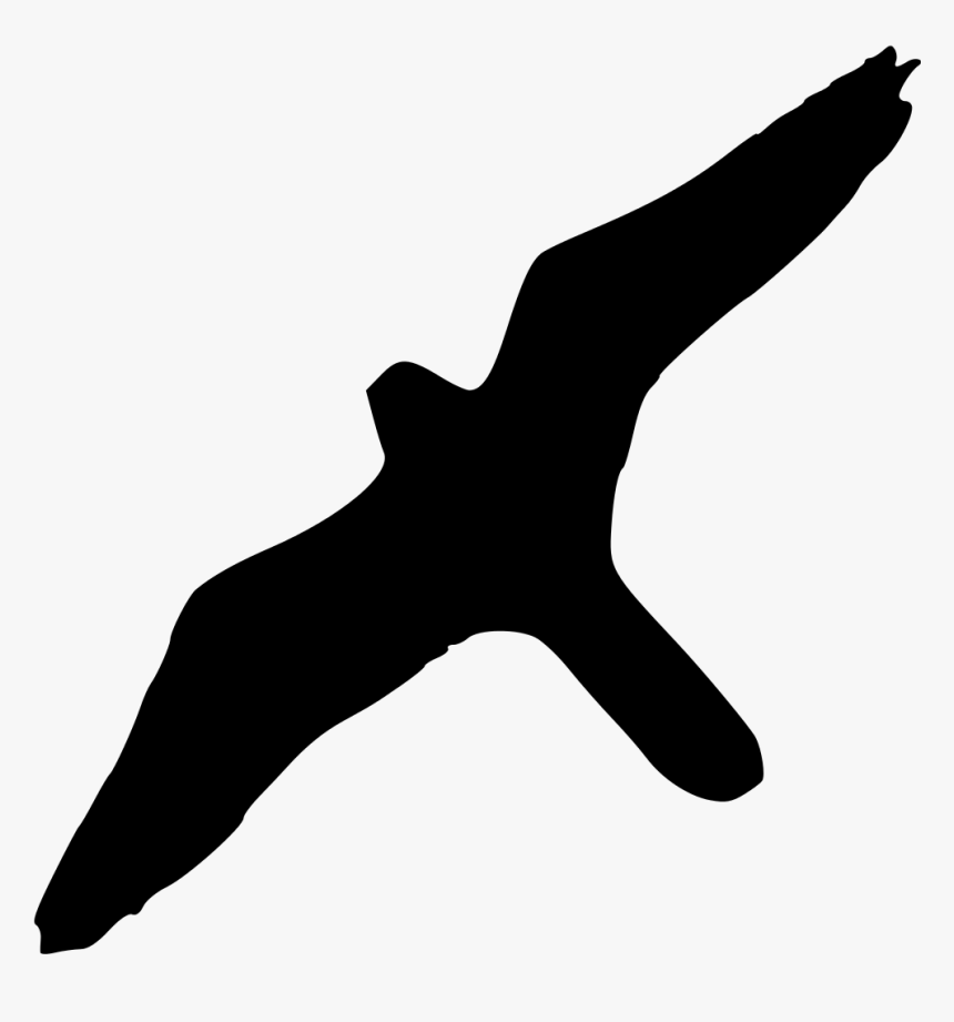 Albatross Bird Clipart Transparent Background