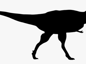 Tyrannosaurus Rex - Silhouette Allosaurus