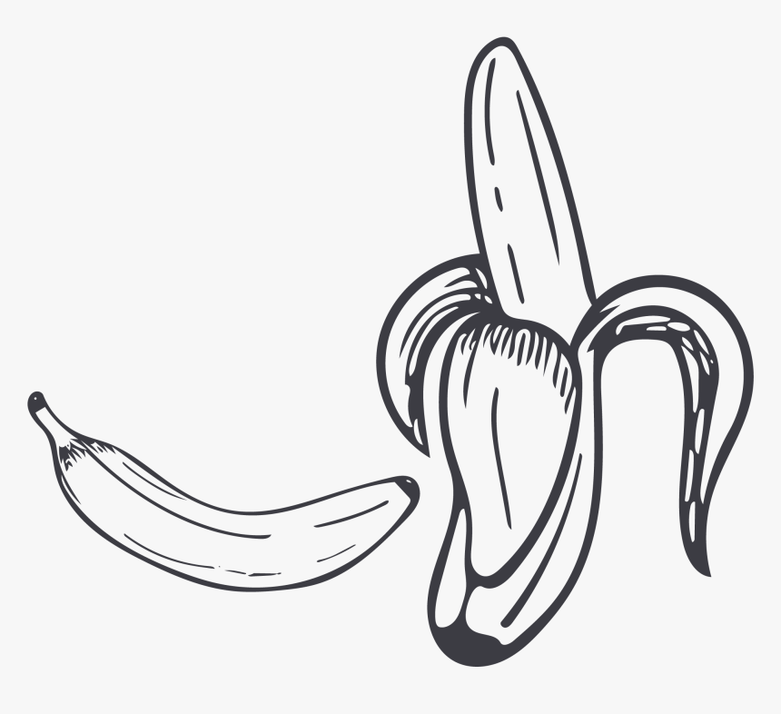 Collection Of Free Contour Drawing Banana Download - Black And White Banana Png