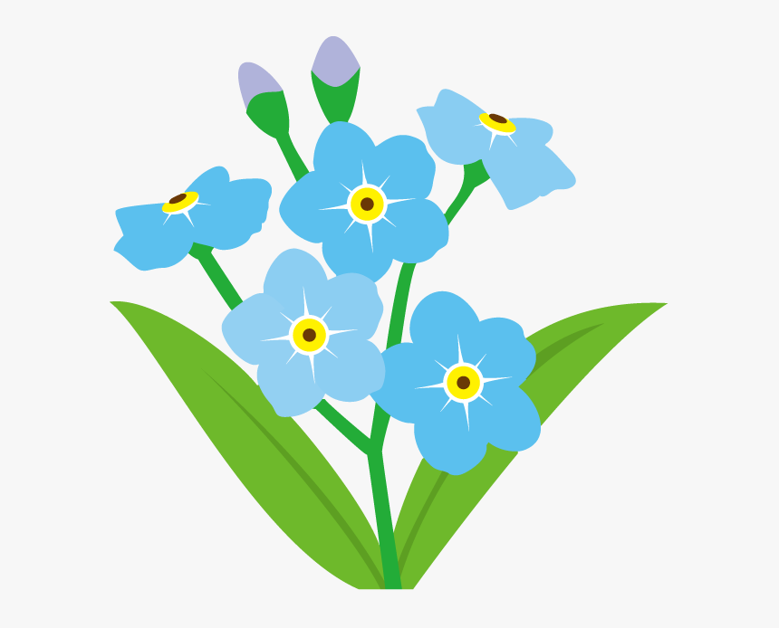 Forgetmenot Forget Me Nots - Forget Me Not Flower Clipart
