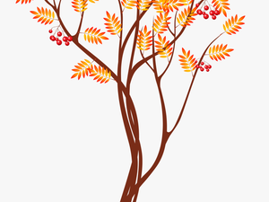 Fall Trees Clipart Transparent