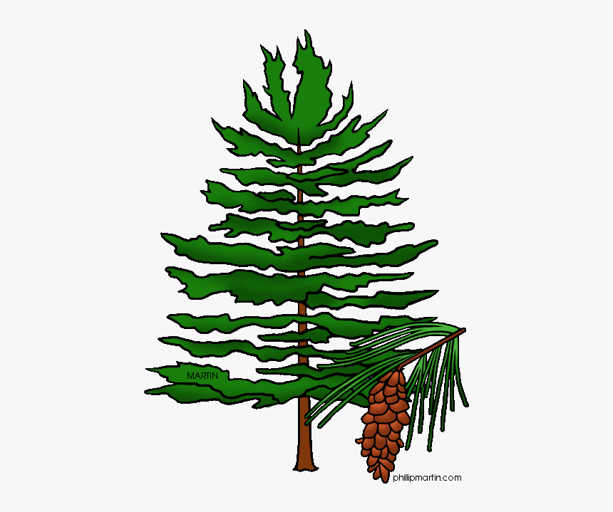 Clipart Pine Tree Png Freeuse Black And White Pine - Pine Tree Clipart