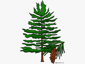 Clipart Pine Tree Png Freeuse Black And White Pine - Pine Tree Clipart