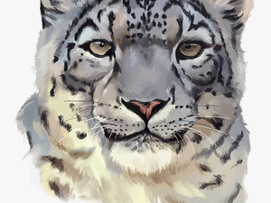 Transparent Snow Leopards Png